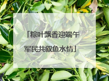 粽叶飘香迎端午 军民共叙鱼水情