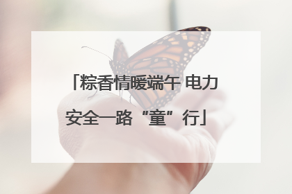 粽香情暖端午 电力安全一路“童”行
