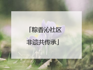 粽香沁社区 非遗共传承