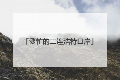 繁忙的二连浩特口岸