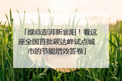 绿意澎湃新襄阳！看这座全国首批碳达峰试点城市的节能增效答卷