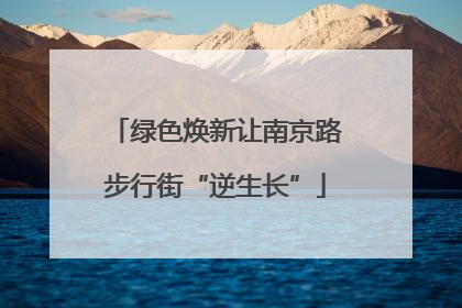 绿色焕新让南京路步行街“逆生长”