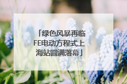 绿色风暴再临 FE电动方程式上海站圆满落幕