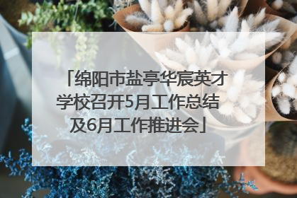 绵阳市盐亭华宸英才学校召开5月工作总结及6月工作推进会