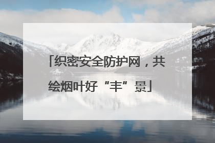 织密安全防护网，共绘烟叶好“丰”景