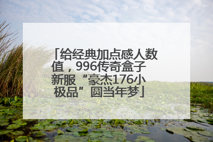 给经典加点感人数值，996传奇盒子新服“豪杰176小极品”圆当年梦