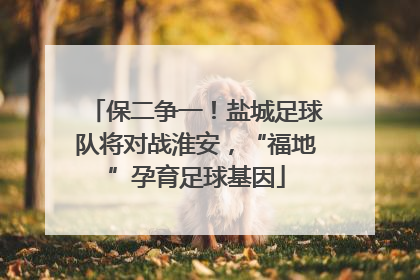 保二争一！盐城足球队将对战淮安，“福地”孕育足球基因