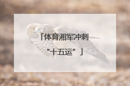 体育湘军冲刺“十五运”