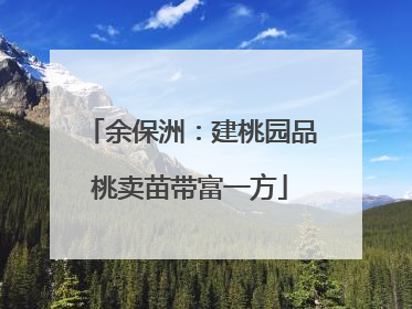余保洲：建桃园品桃卖苗带富一方