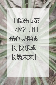 临汾市第一小学：阳光心灵伴成长 快乐成长筑未来