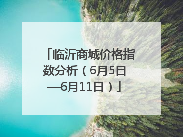 临沂商城价格指数分析（6月5日—6月11日）
