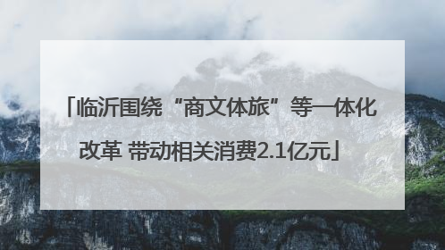 临沂围绕“商文体旅”等一体化改革 带动相关消费2.1亿元