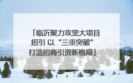 临沂聚力攻坚大项目招引 以“三重突破”打造招商引资新格局
