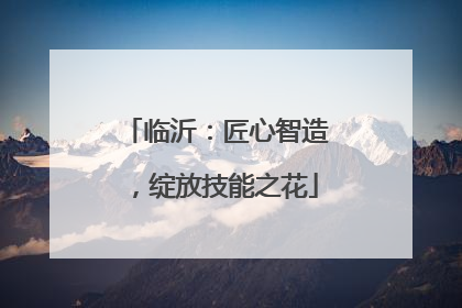 临沂：匠心智造，绽放技能之花