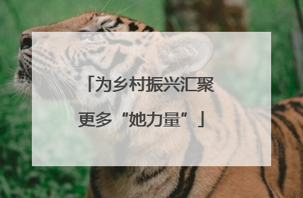 为乡村振兴汇聚更多“她力量”