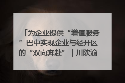 为企业提供“增值服务”巴中实现企业与经开区的“双向奔赴”｜川陕渝网络名人巴中行