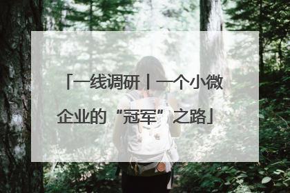 一线调研丨一个小微企业的“冠军”之路