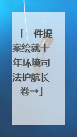 一件提案绘就十年环境司法护航长卷→