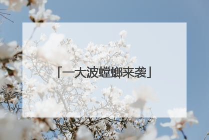 一大波螳螂来袭