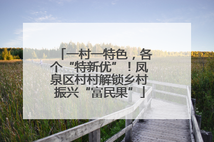 一村一特色，各个“特新优”！凤泉区村村解锁乡村振兴“富民果”
