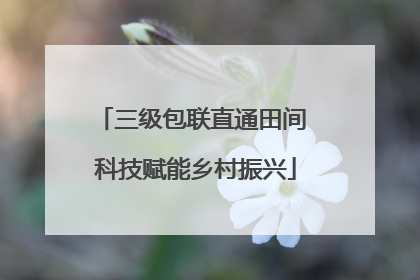 三级包联直通田间 科技赋能乡村振兴