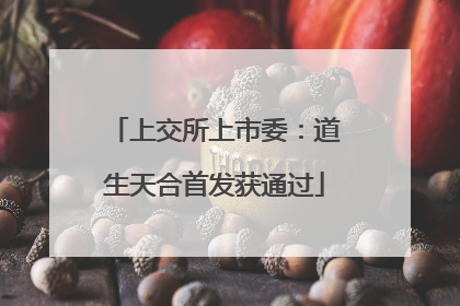 上交所上市委：道生天合首发获通过