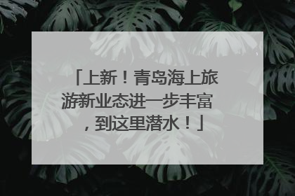 上新！青岛海上旅游新业态进一步丰富，到这里潜水！