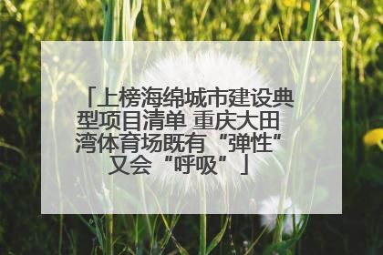 上榜海绵城市建设典型项目清单 重庆大田湾体育场既有“弹性”又会“呼吸”