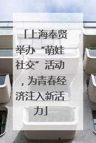 上海奉贤举办“萌娃社交”活动，为青春经济注入新活力