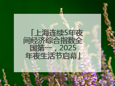 上海连续5年夜间经济综合指数全国第一，2025年夜生活节启幕