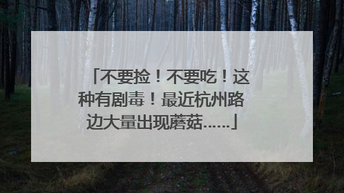 不要捡！不要吃！这种有剧毒！最近杭州路边大量出现蘑菇……