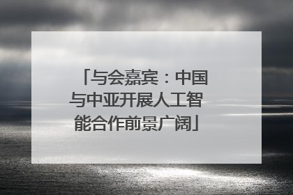 与会嘉宾：中国与中亚开展人工智能合作前景广阔