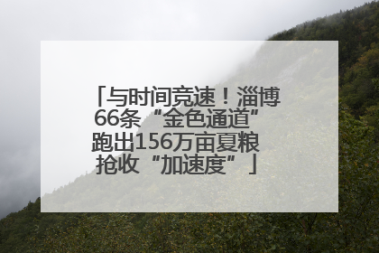 与时间竞速！淄博66条“金色通道”跑出156万亩夏粮抢收“加速度”