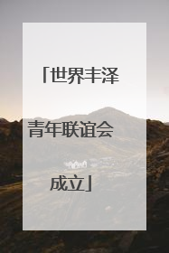 世界丰泽青年联谊会成立