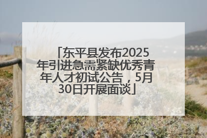 东平县发布2025年引进急需紧缺优秀青年人才初试公告，5月30日开展面谈