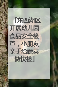 东西湖区开展幼儿园食品安全检查，小朋友亲手给蔬菜做快检