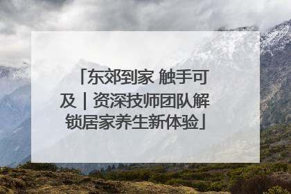 东郊到家 触手可及｜资深技师团队解锁居家养生新体验