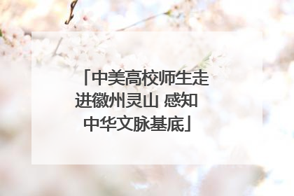 中美高校师生走进徽州灵山 感知中华文脉基底