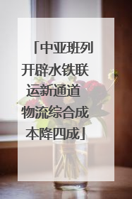 中亚班列开辟水铁联运新通道 物流综合成本降四成