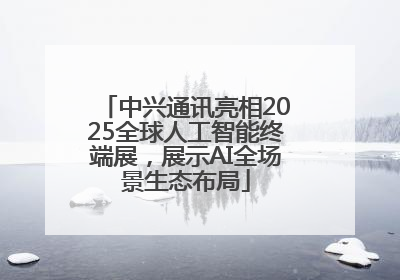 中兴通讯亮相2025全球人工智能终端展，展示AI全场景生态布局