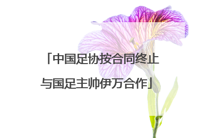 中国足协按合同终止与国足主帅伊万合作