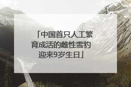 中国首只人工繁育成活的雌性雪豹迎来9岁生日