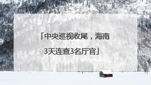 中央巡视收尾，海南3天连查3名厅官
