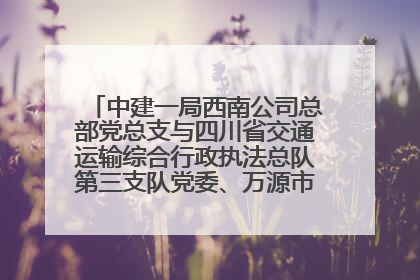 中建一局西南公司总部党总支与四川省交通运输综合行政执法总队第三支队党委、万源市草坝镇莲花院村党支部开展党建联建