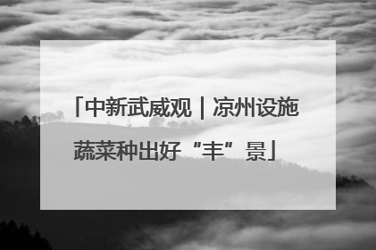 中新武威观｜凉州设施蔬菜种出好“丰”景