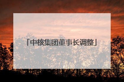 中核集团董事长调整