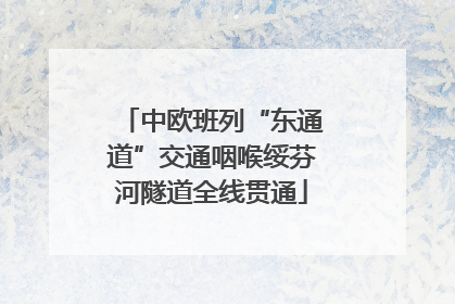 中欧班列“东通道”交通咽喉绥芬河隧道全线贯通