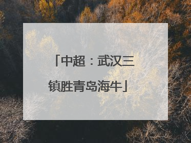 中超：武汉三镇胜青岛海牛