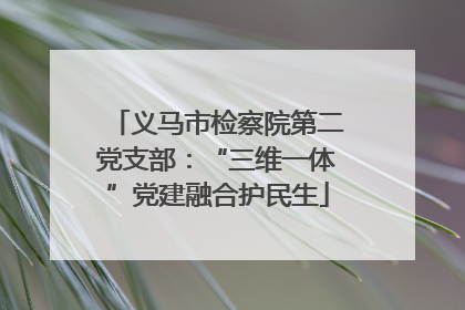 义马市检察院第二党支部：“三维一体”党建融合护民生