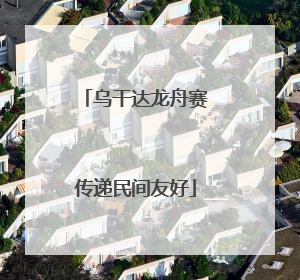 乌干达龙舟赛传递民间友好
